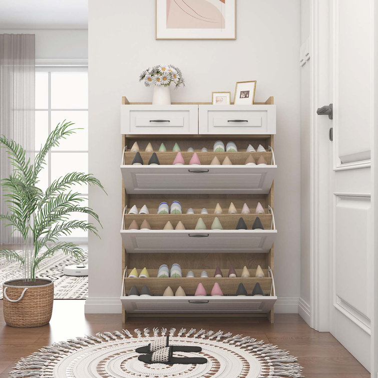 Shoe storage discount cabinet 30 pairs